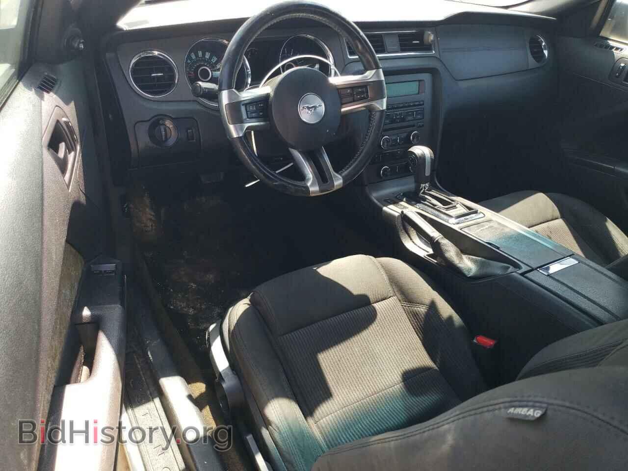 2013 FORD ALL Models - VIN: 1ZVBP8AM0D5274793 - Фото 8