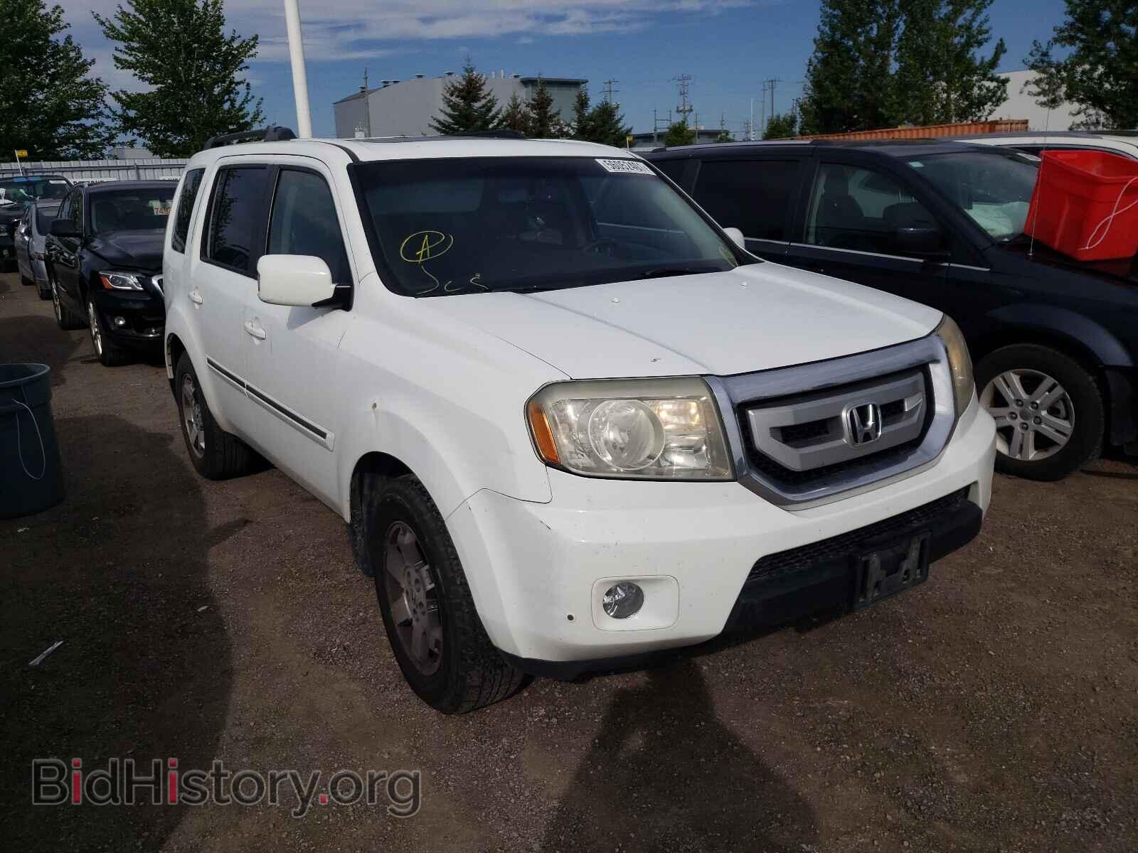 Фотография 5FNYF48919B500520 - HONDA PILOT 2009