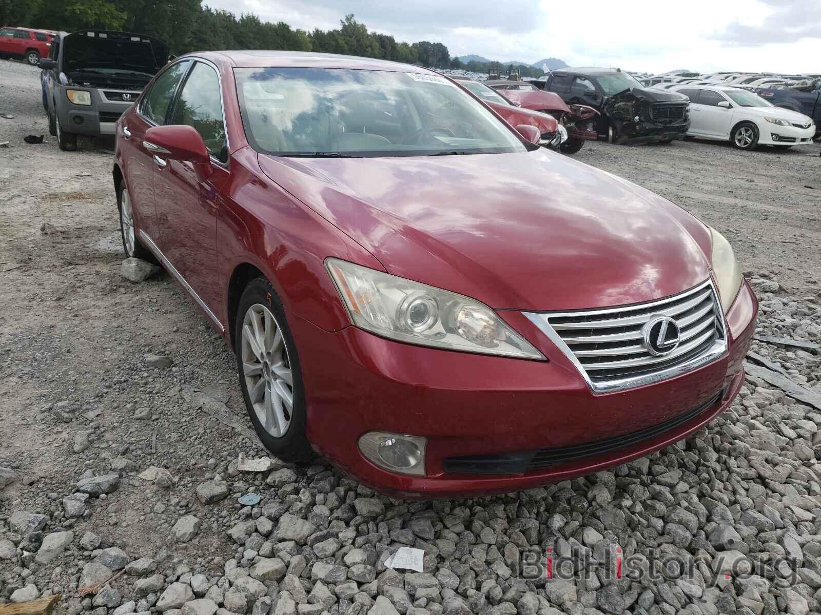 Photo JTHBK1EG8A2345604 - LEXUS ES350 2010