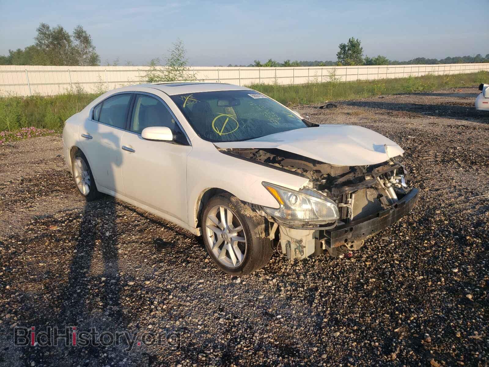 Photo 1N4AA5AP1DC832970 - NISSAN MAXIMA 2013