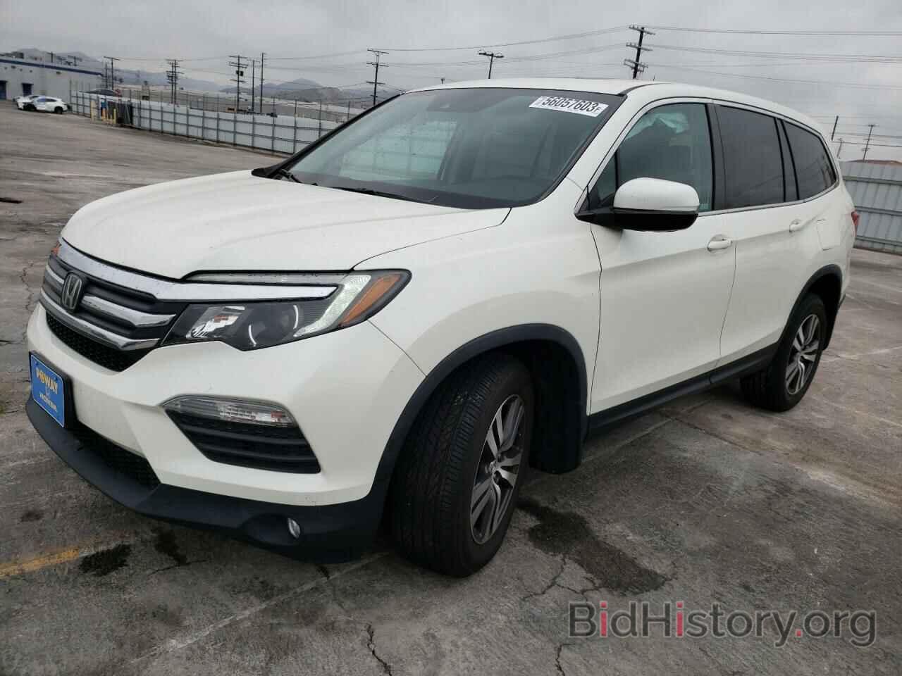 Фотография 5FNYF5H64JB031603 - HONDA PILOT 2018