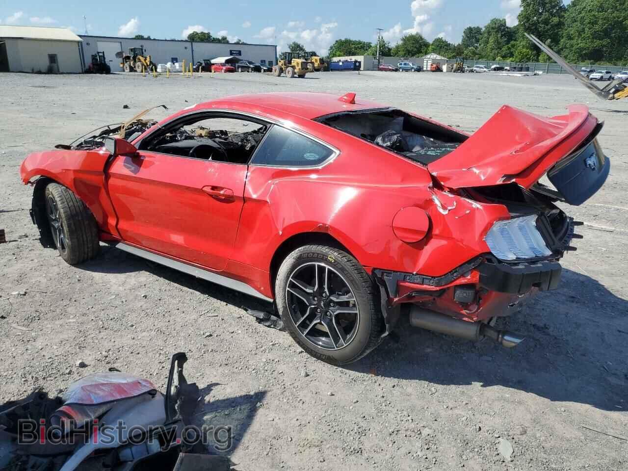 2021 FORD ALL Models - VIN: 1FA6P8TH5M5116136 - Фото 2