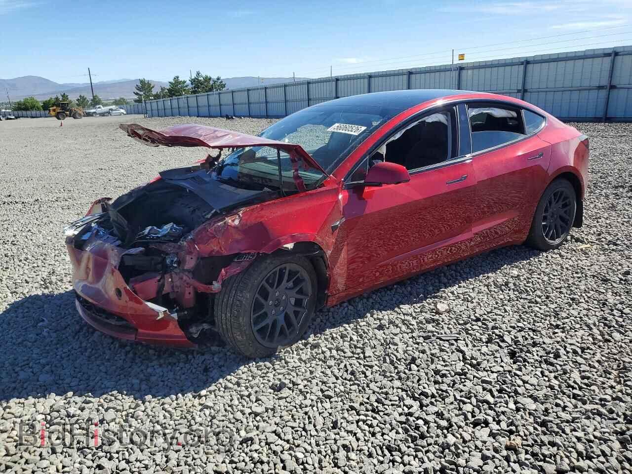 Photo 5YJ3E1EB7RF821481 - TESLA MODEL 3 2024