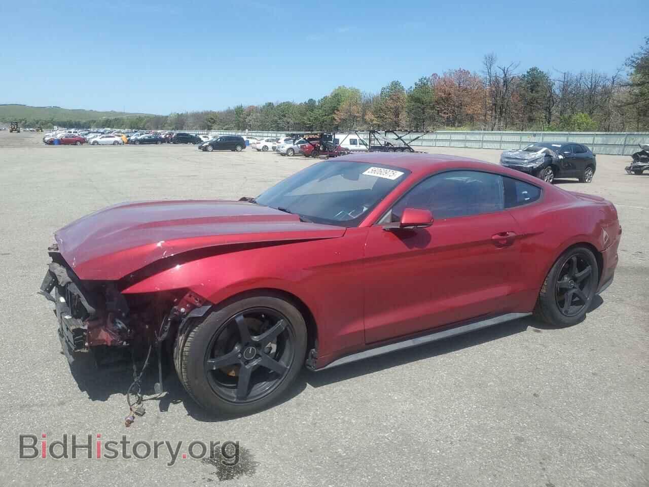 Photo 1FA6P8TH4H5328029 - FORD ALL Models 2017