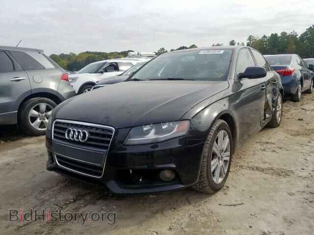 2011 AUDI A4 - VIN: WAUAFAFL4BN041048 - Фото 2