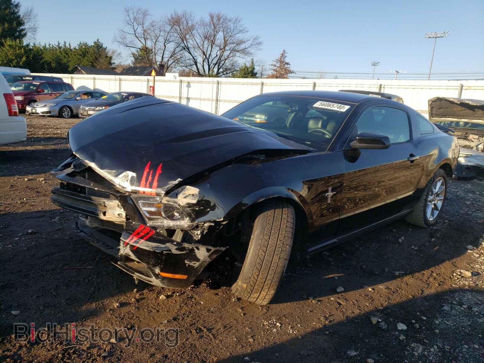 2011 FORD MUSTANG - VIN: 1ZVBP8AM2B5131065 - Фото 2