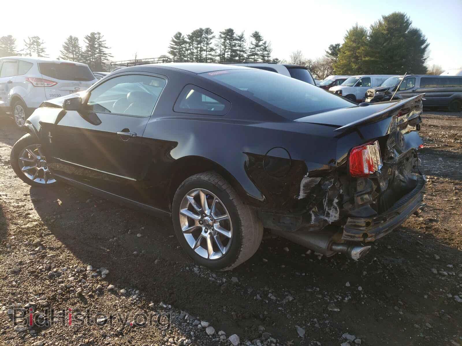 2011 FORD MUSTANG - VIN: 1ZVBP8AM2B5131065 - Фото 3