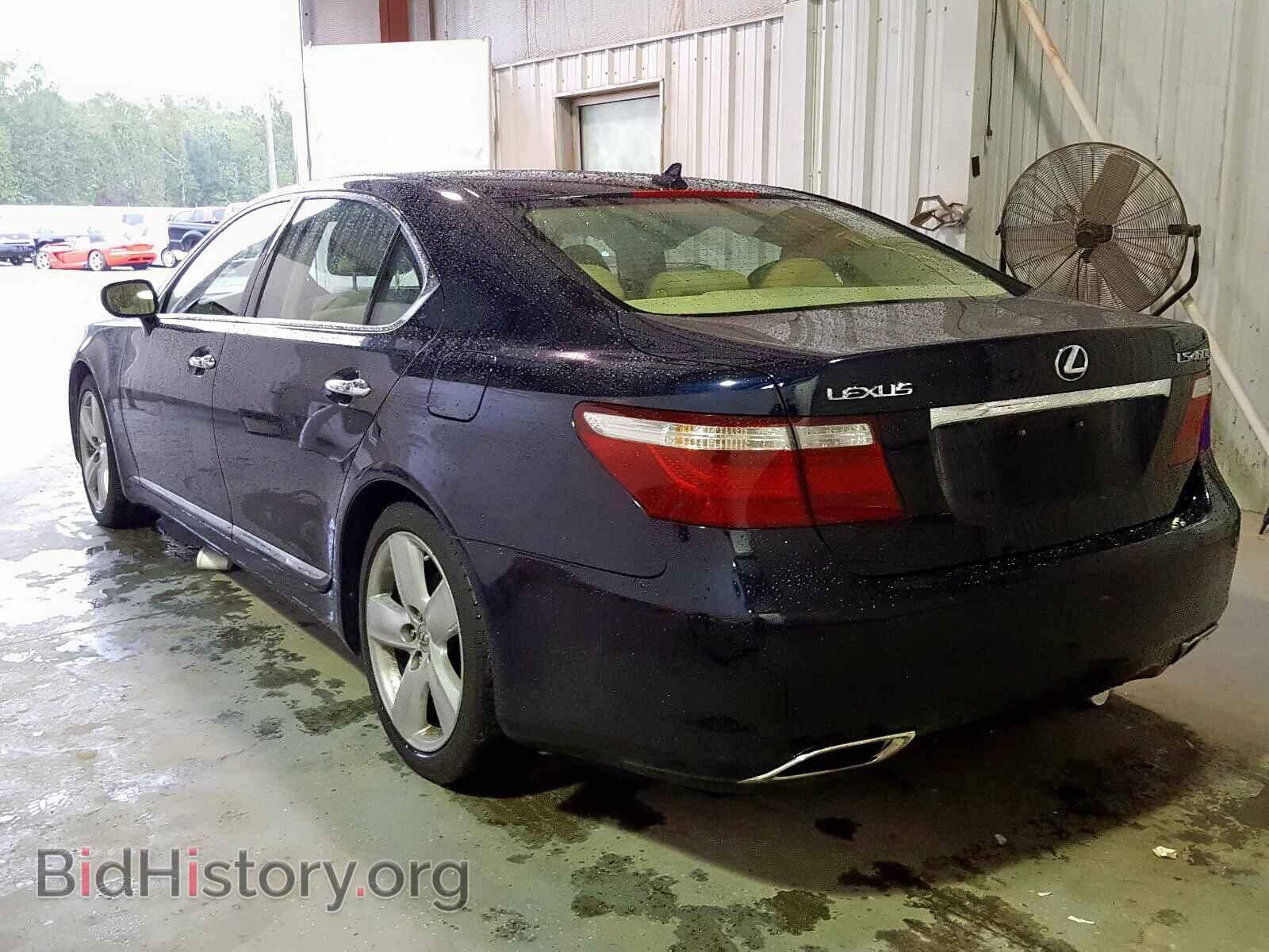 2009 LEXUS LS460 - VIN: JTHGL46F595034443 - Фото 3