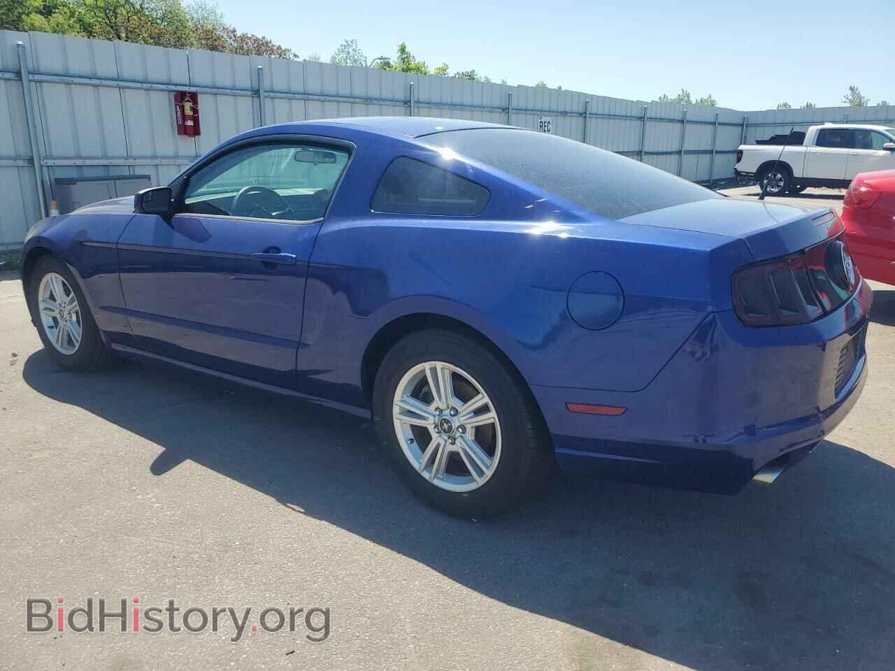 2014 FORD ALL Models - VIN: 1ZVBP8AM9E5317920 - Фото 2