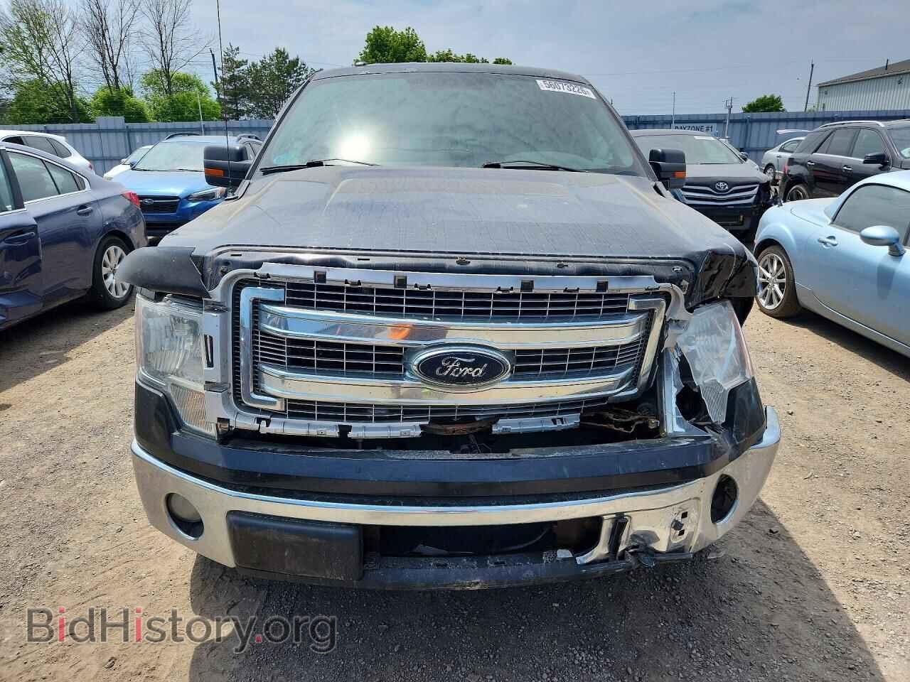 2013 FORD F150 - VIN: 1FTEX1CM2DFC99242 - Фото 5