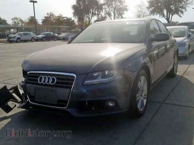 2010 AUDI A4 - VIN: WAUAFAFL4AN008498 - Фото 2
