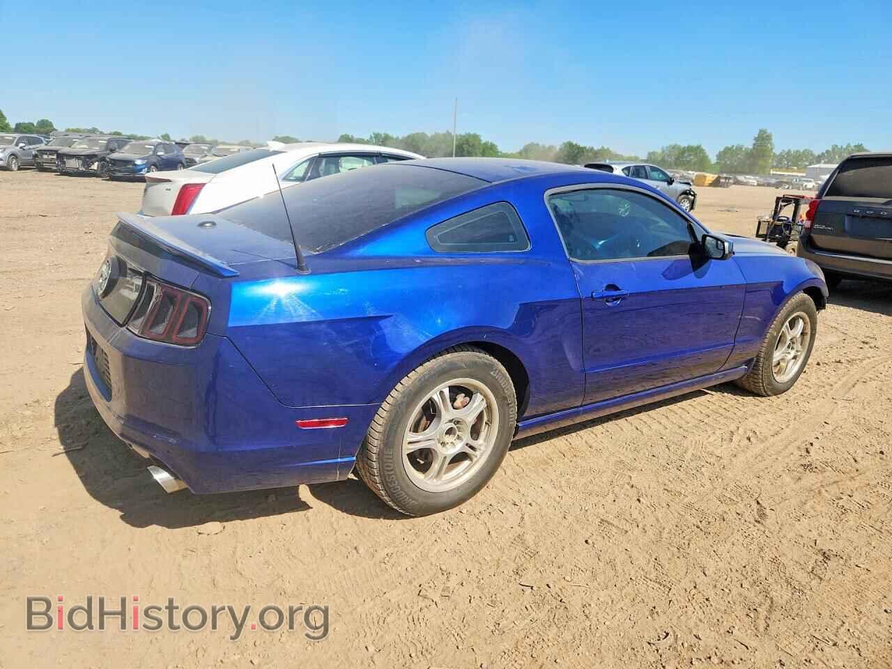 2013 FORD MUSTANG - VIN: 1ZVBP8AM0D5227781 - Фото 3