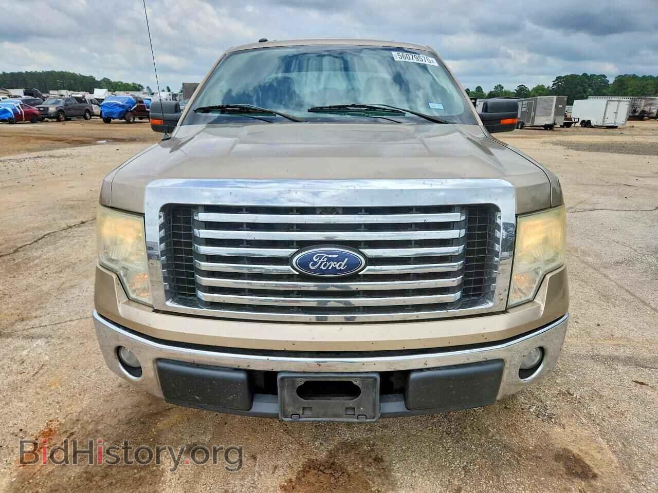 2011 FORD F150 - VIN: 1FTEX1CM4BFA93630 - Фото 5