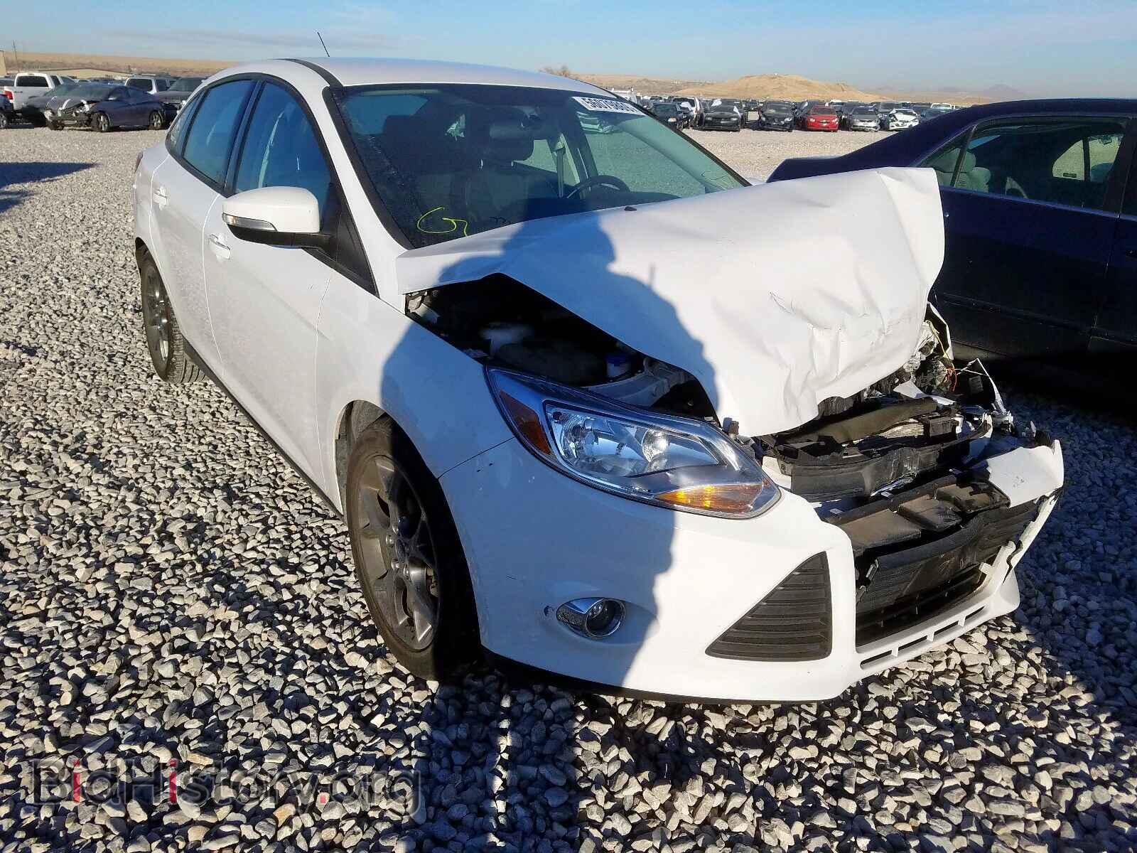 Photo 1FADP3F24DL381787 - FORD FOCUS SE 2013