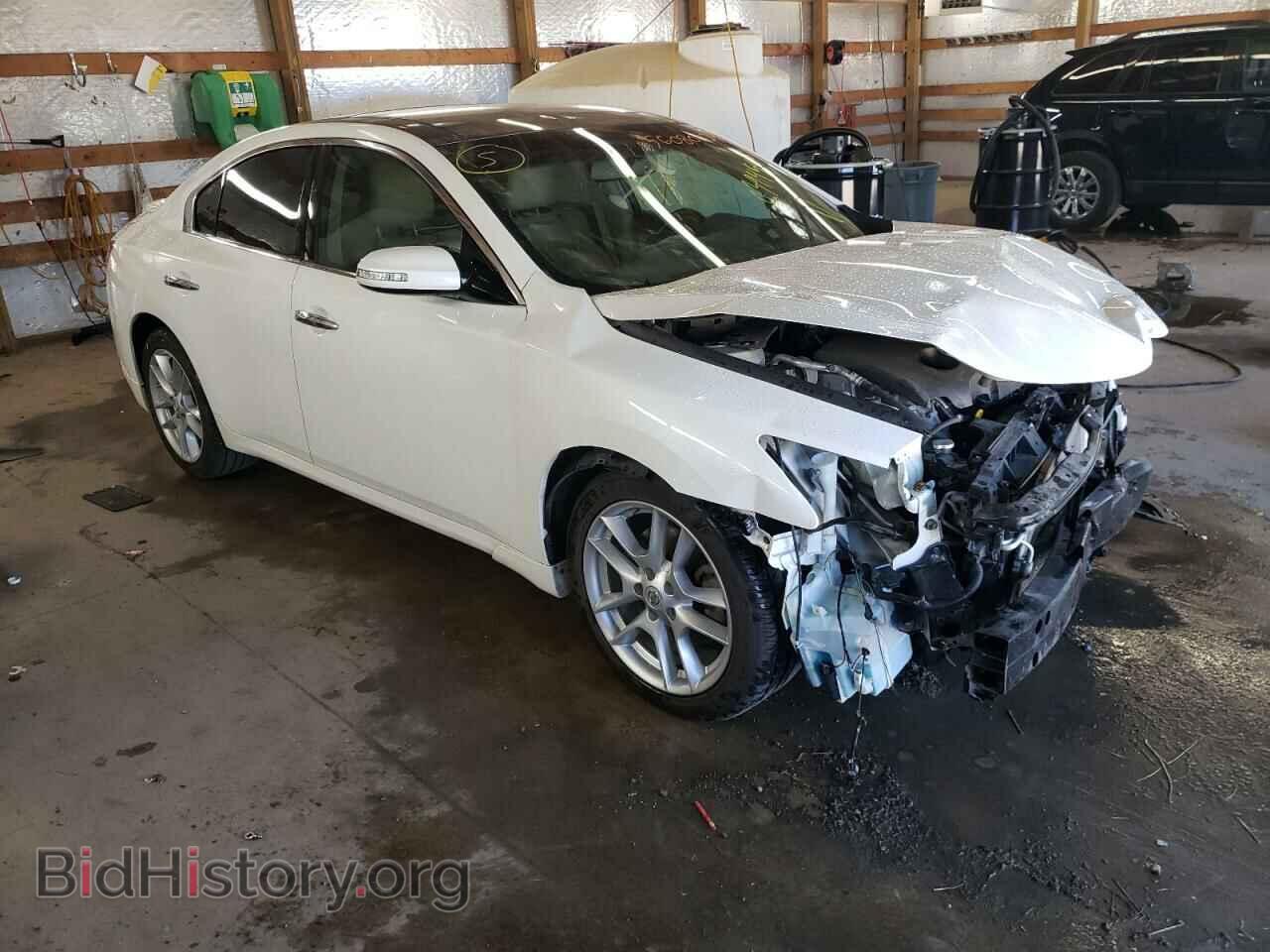 Фотография 1N4AA5AP0BC839454 - NISSAN MAXIMA 2011