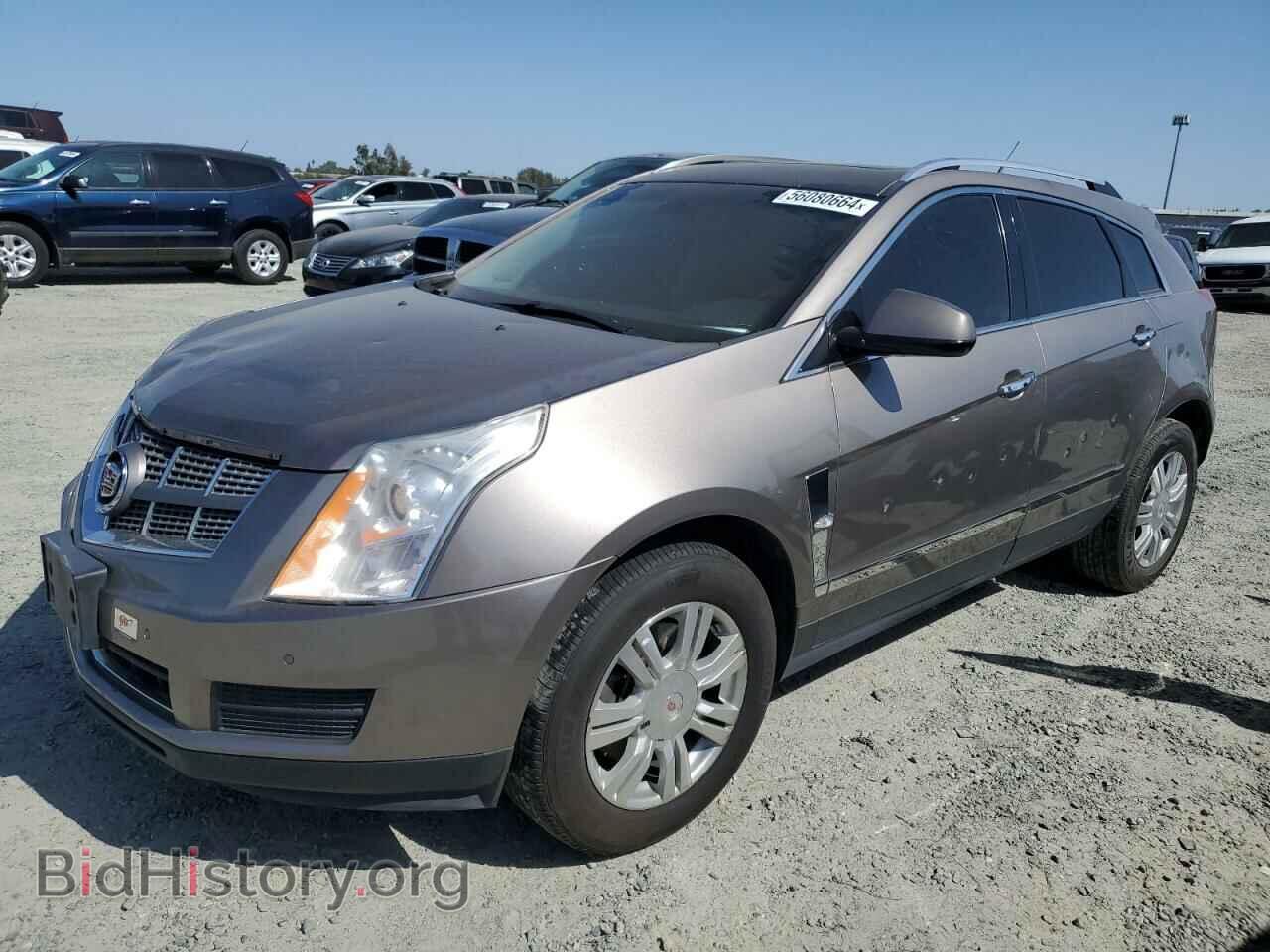 Фотография 3GYFNDE39CS575551 - CADILLAC SRX 2012