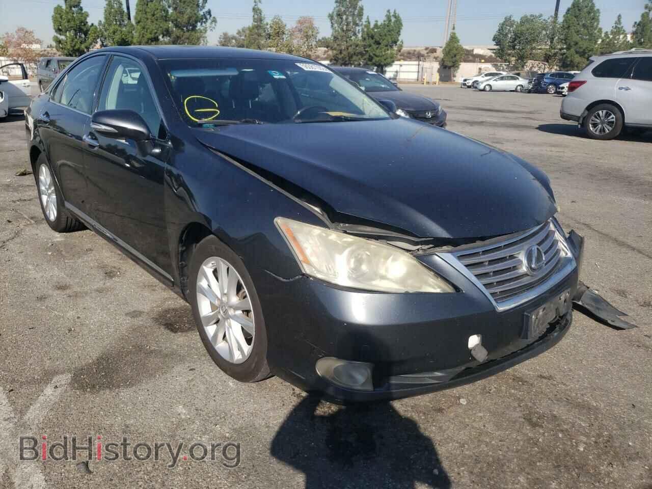 Фотография JTHBK1EG9A2382967 - LEXUS ES350 2010