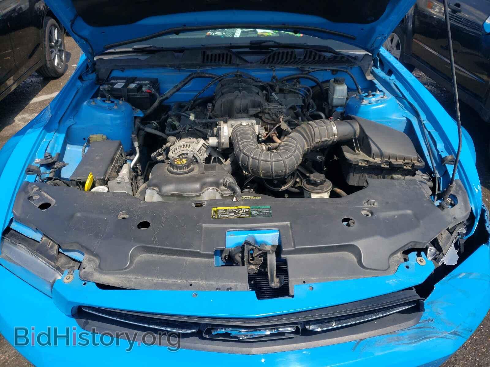 2010 FORD MUSTANG - VIN: 1ZVBP8AN6A5166084 - Фото 7