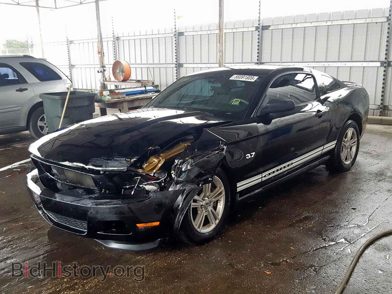 2011 FORD MUSTANG - VIN: 1ZVBP8AM1B5114371 - Фото 2