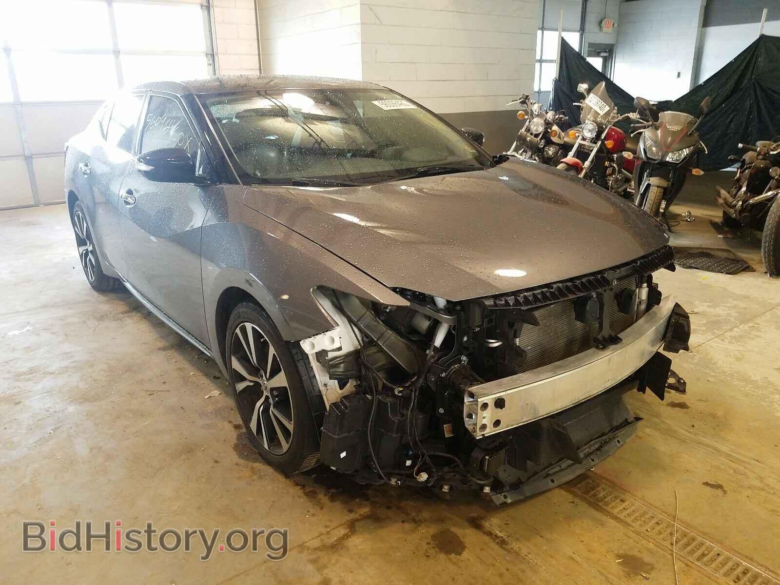 Фотография 1N4AA6AP1HC442589 - NISSAN MAXIMA 2017