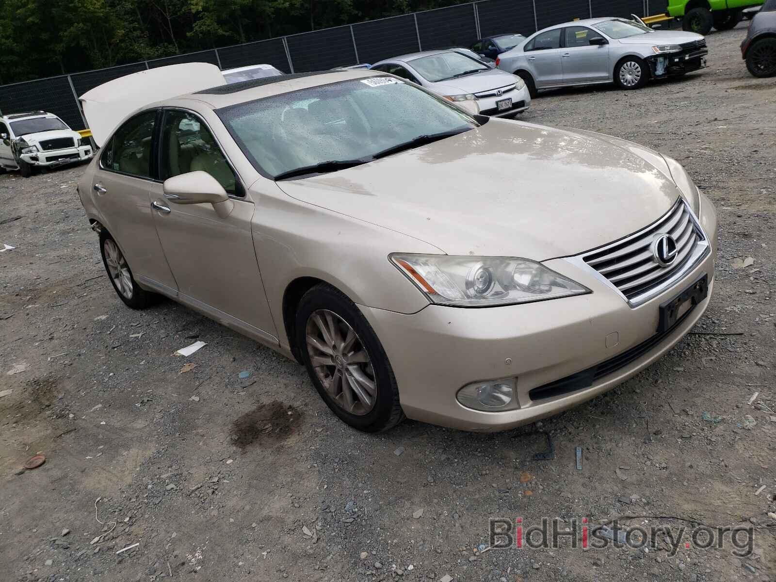 Фотография JTHBK1EG8B2420092 - LEXUS ES350 2011