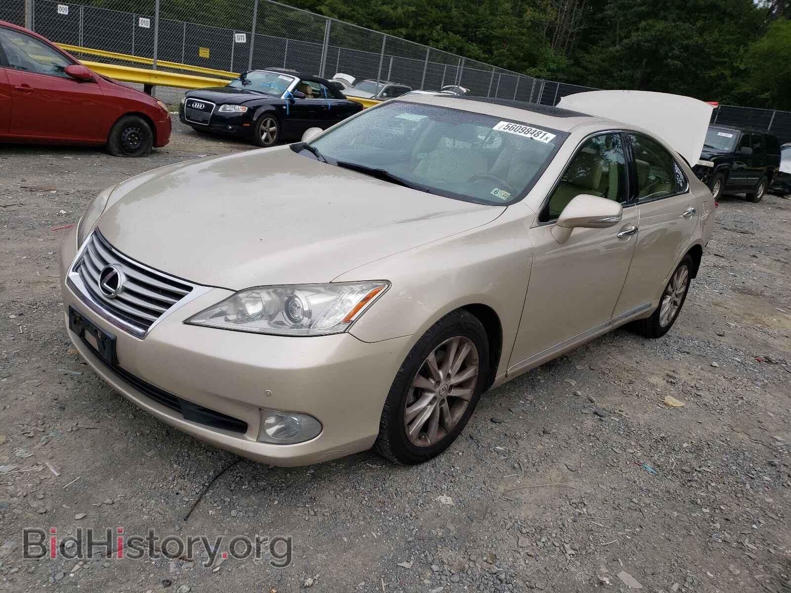 2011 LEXUS ES350 - VIN: JTHBK1EG8B2420092 - Фото 2