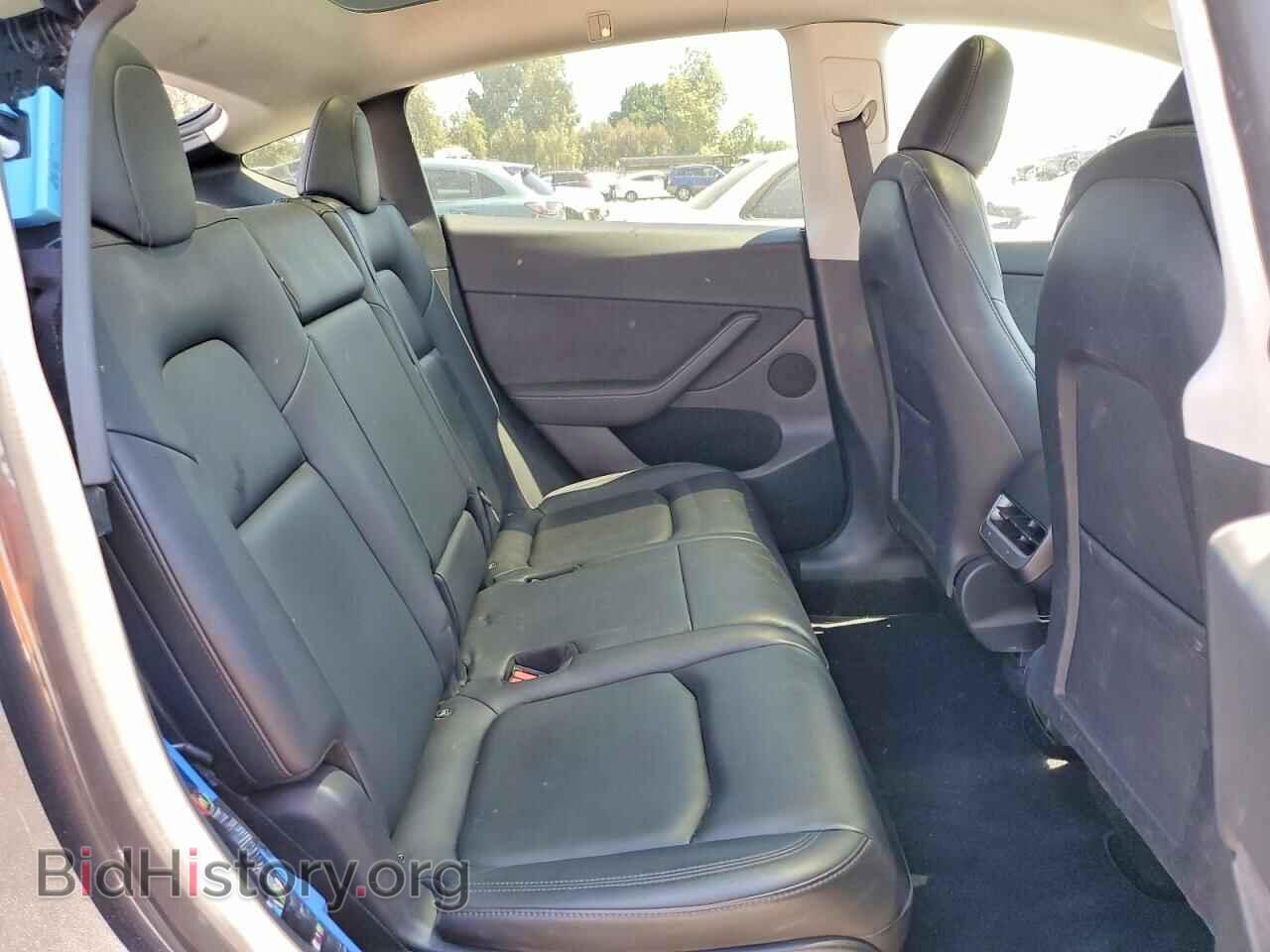 2024 TESLA MODEL Y - VIN: 7SAYGAEE8RF037534 - Фото 11