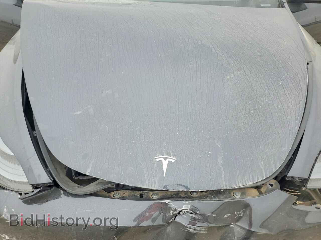 2024 TESLA MODEL Y - VIN: 7SAYGDED5RA313738 - Фото 11