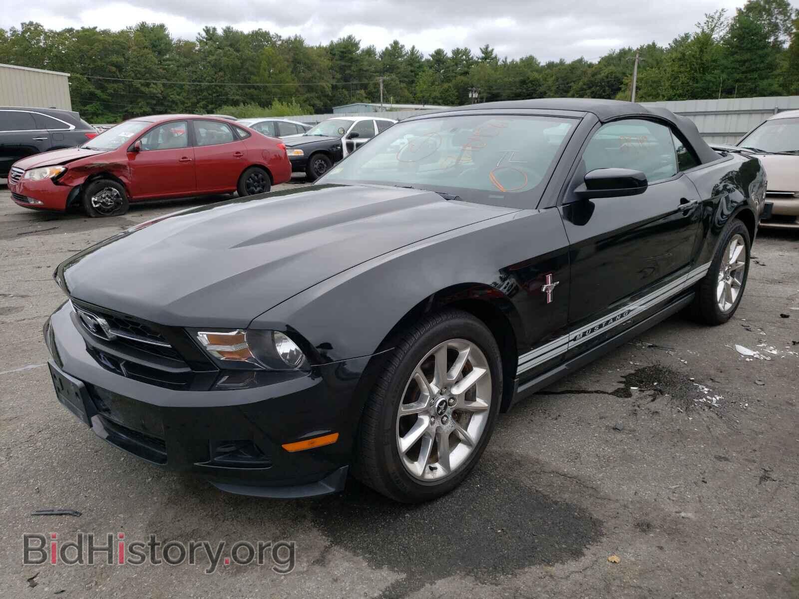 2010 FORD MUSTANG - VIN: 1ZVBP8EN5A5113628 - Фото 2
