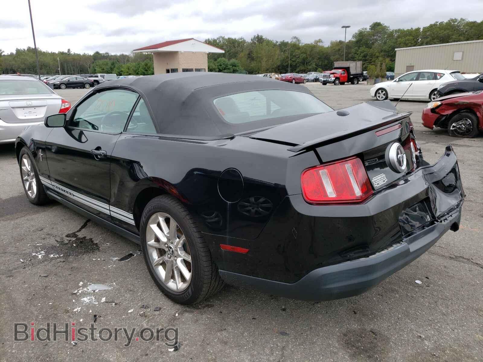 2010 FORD MUSTANG - VIN: 1ZVBP8EN5A5113628 - Фото 3
