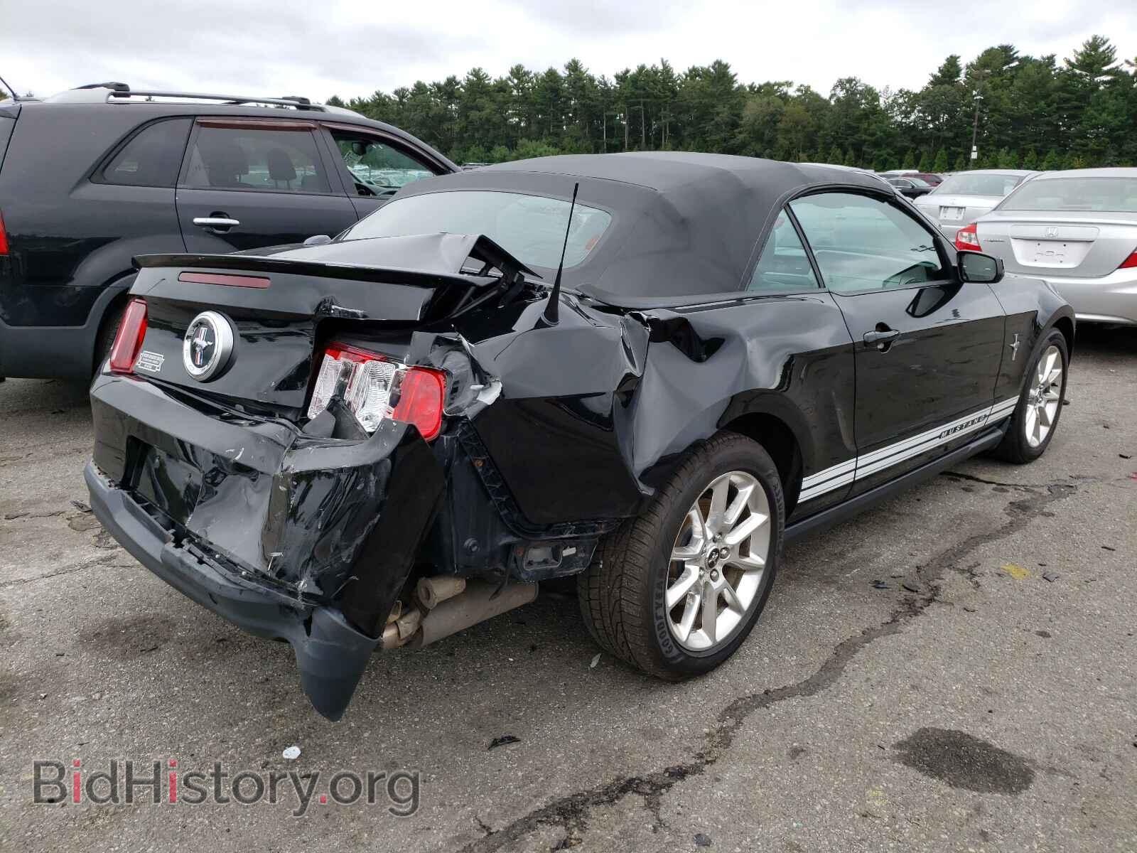 2010 FORD MUSTANG - VIN: 1ZVBP8EN5A5113628 - Фото 4
