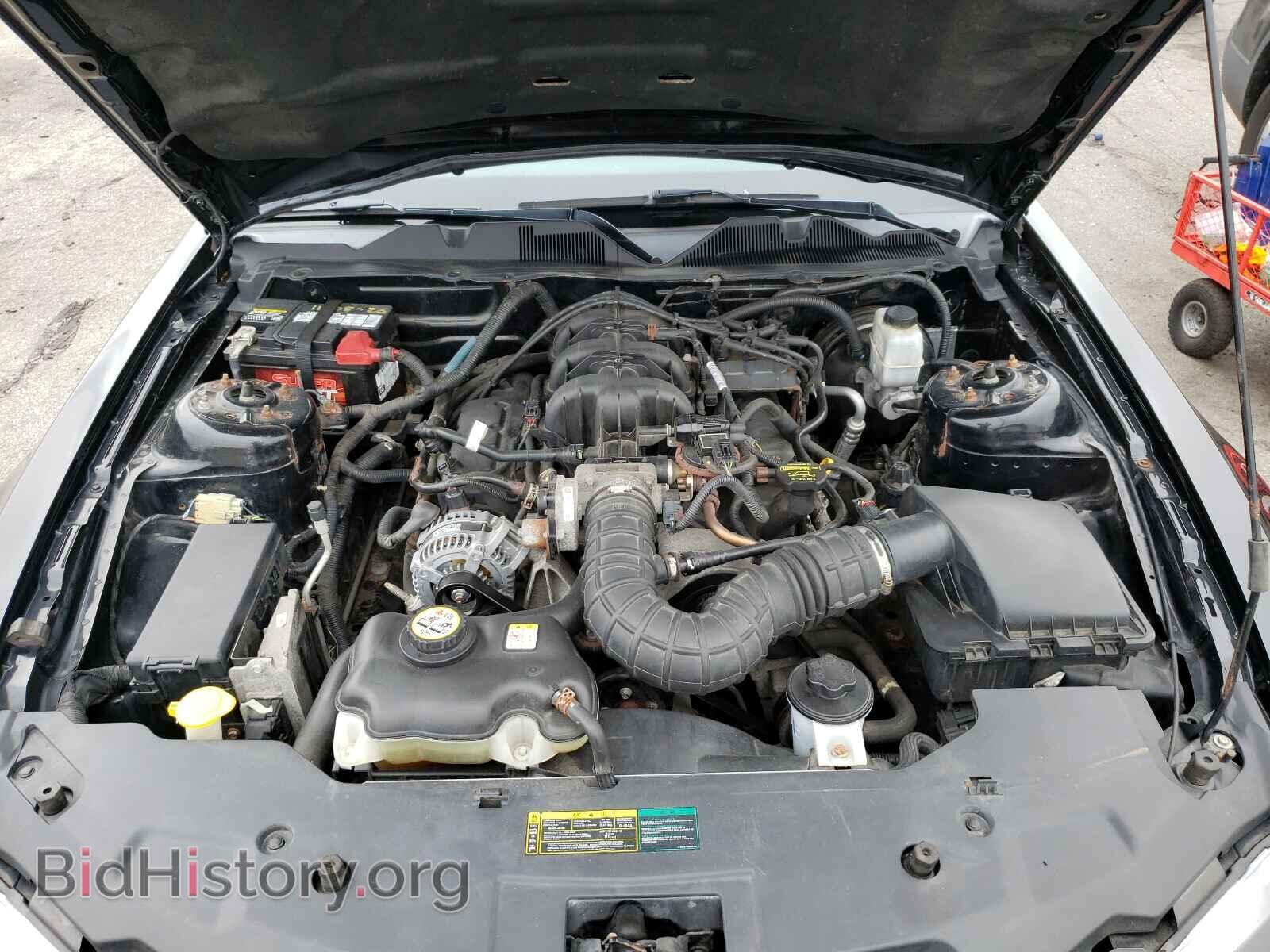2010 FORD MUSTANG - VIN: 1ZVBP8EN5A5113628 - Фото 7