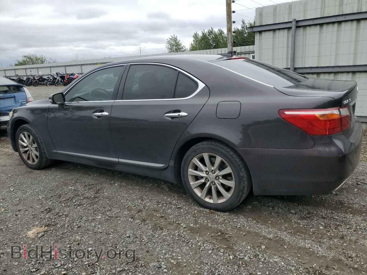 2010 LEXUS LS460 - VIN: JTHCL5EF9A5007420 - Photo 2