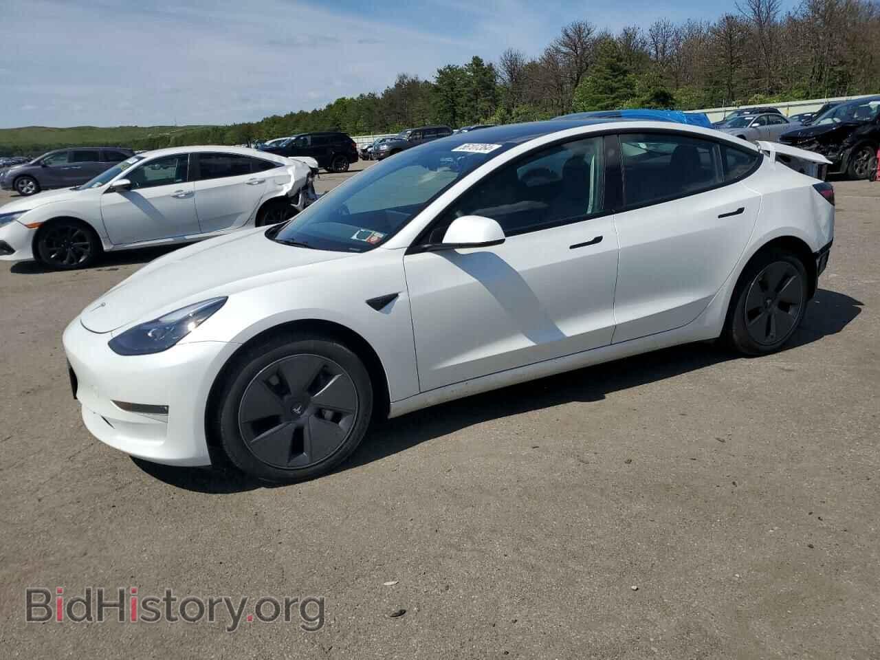 Photo 5YJ3E1EB4PF608789 - TESLA MODEL 3 2023