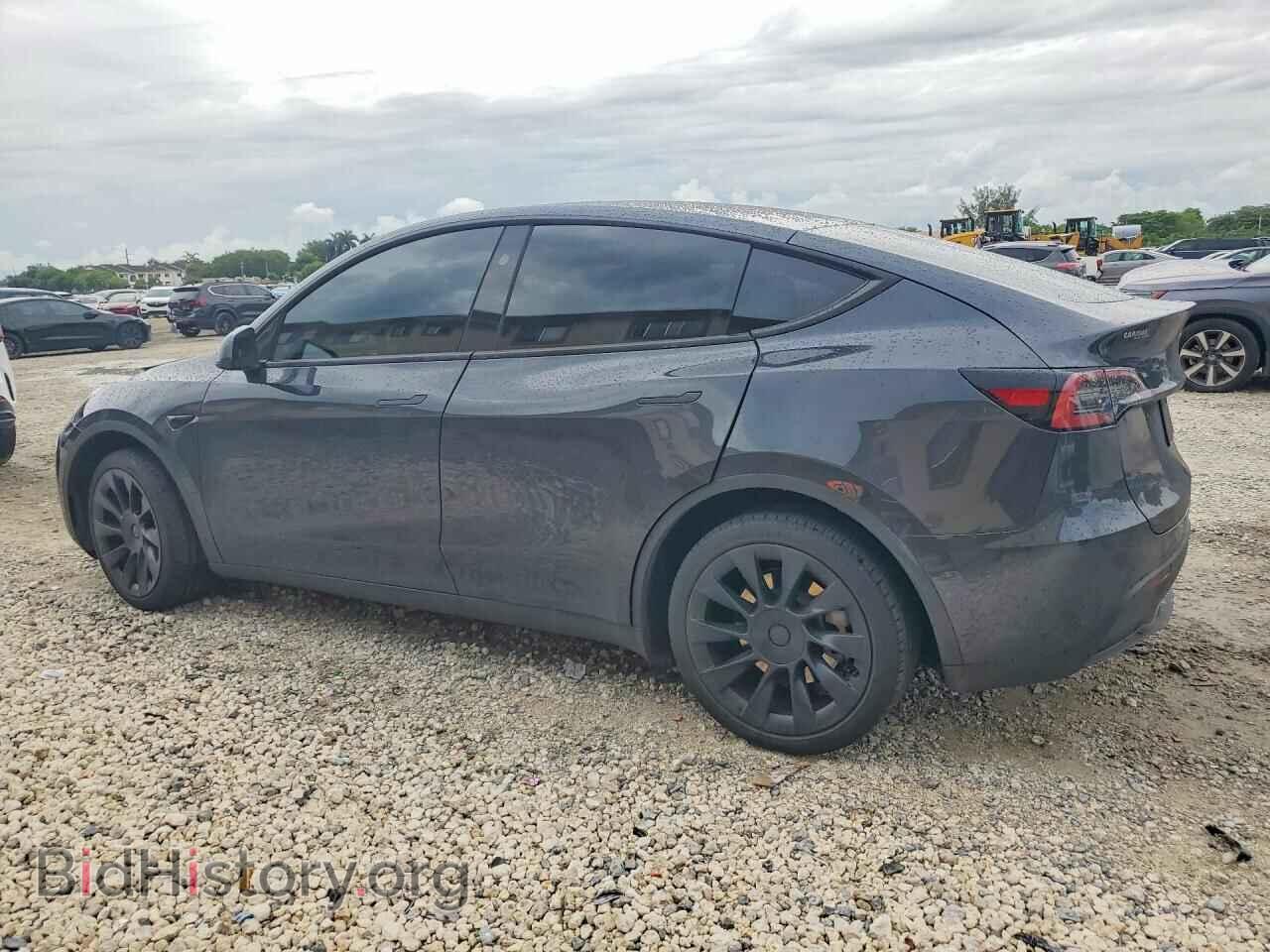 2024 TESLA MODEL Y - VIN: 7SAYGDEE5RF037184 - Фото 2