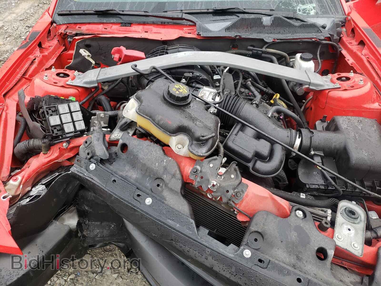 2013 FORD MUSTANG - VIN: 1ZVBP8EM3D5276290 - Фото 7