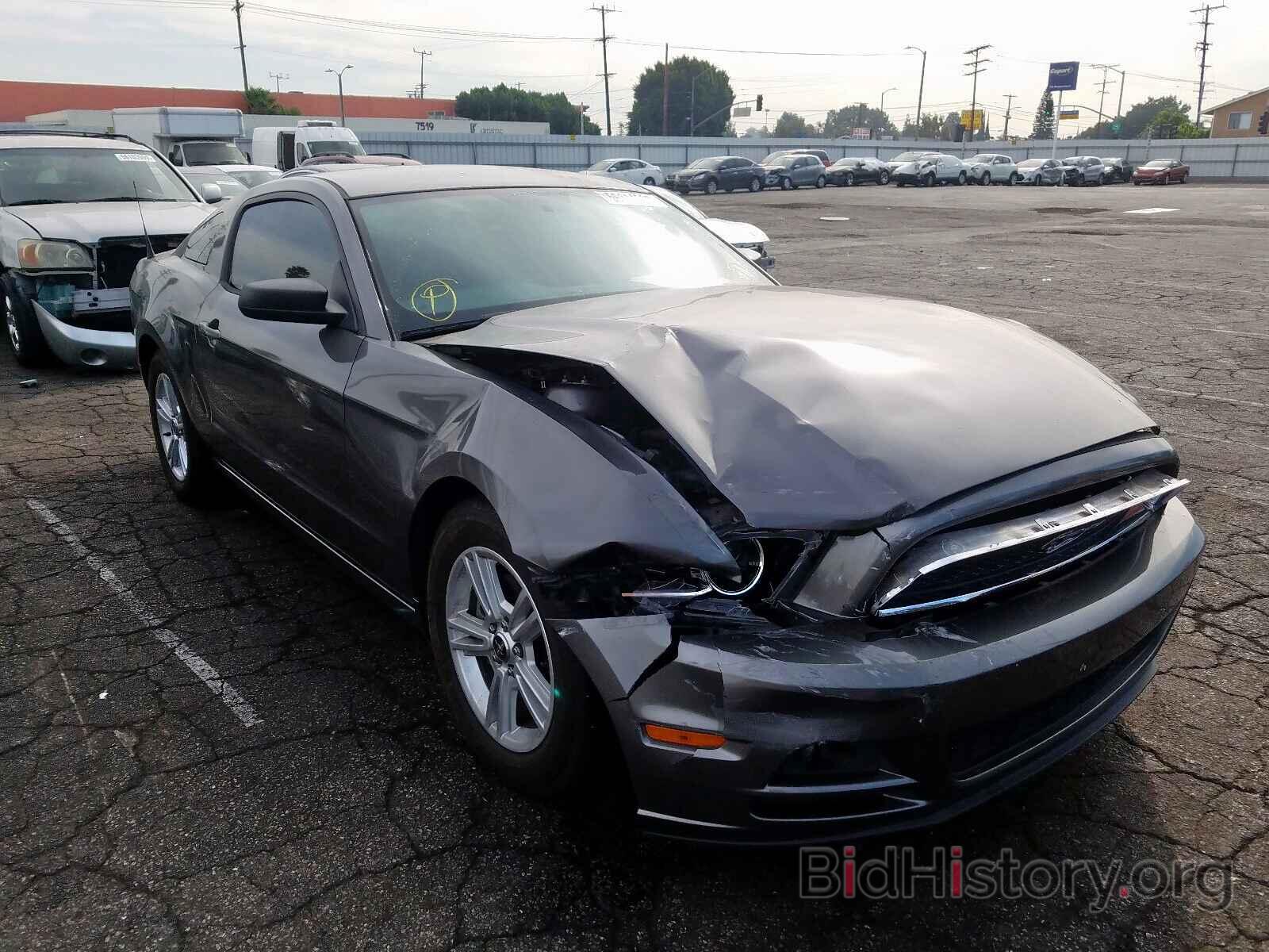 Photo 1ZVBP8AM1E5291801 - FORD MUSTANG 2014