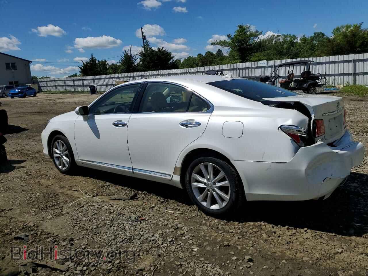 2010 LEXUS ES350 - VIN: JTHBK1EG1A2371283 - Фото 2