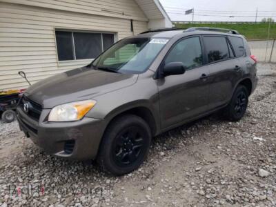 2011 Toyota RAV4, светло-коричневый — VIN 2T3BF4DV9BW122245, Copart