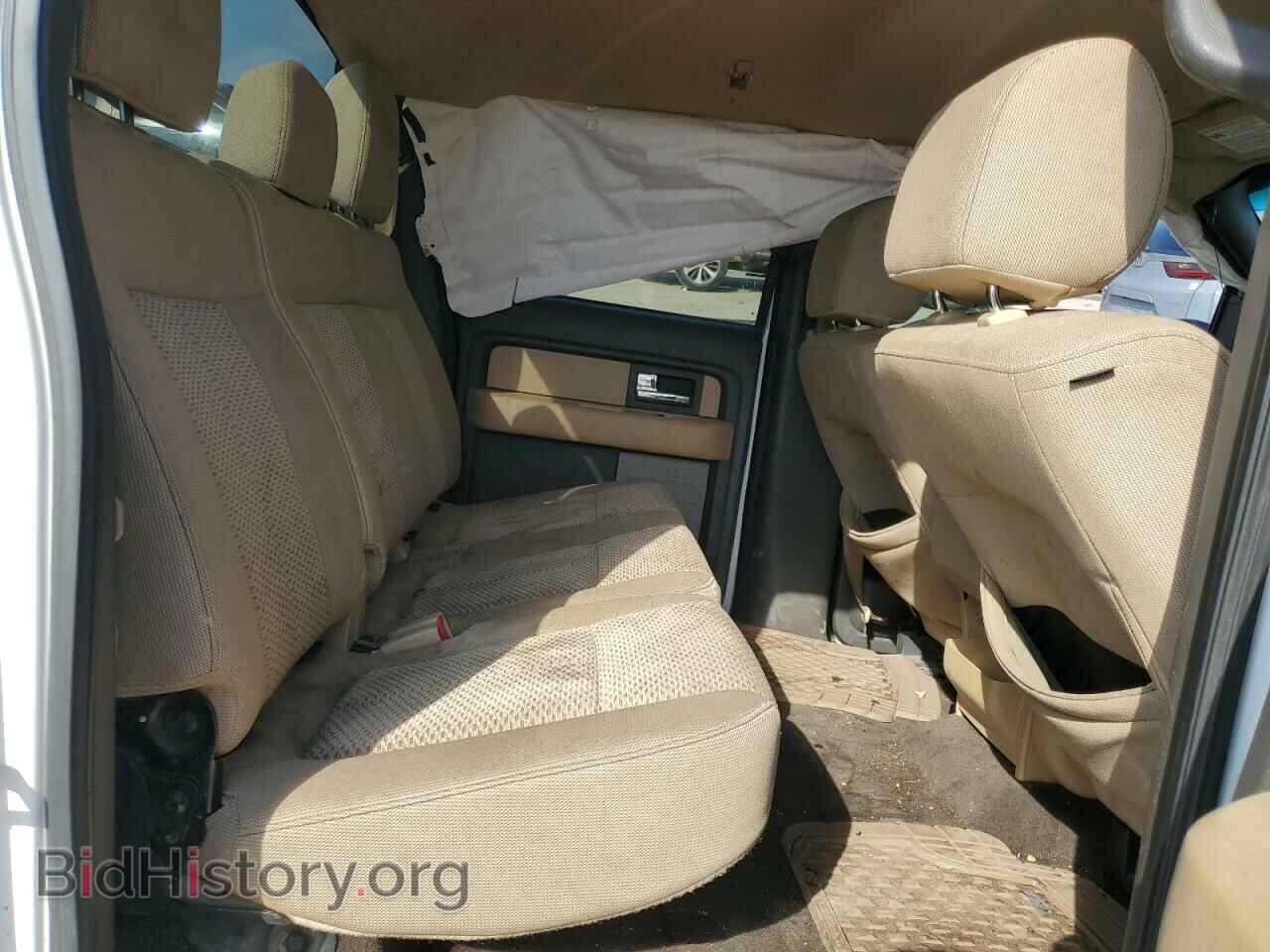 2012 FORD F-150 - VIN: 1FTEW1CM7CFC20102 - Фото 10