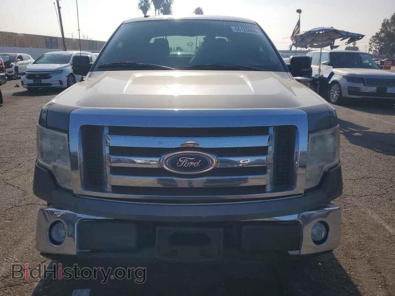2010 FORD F150 - VIN: 1FTEW1C85AFB14702 - Фото 5