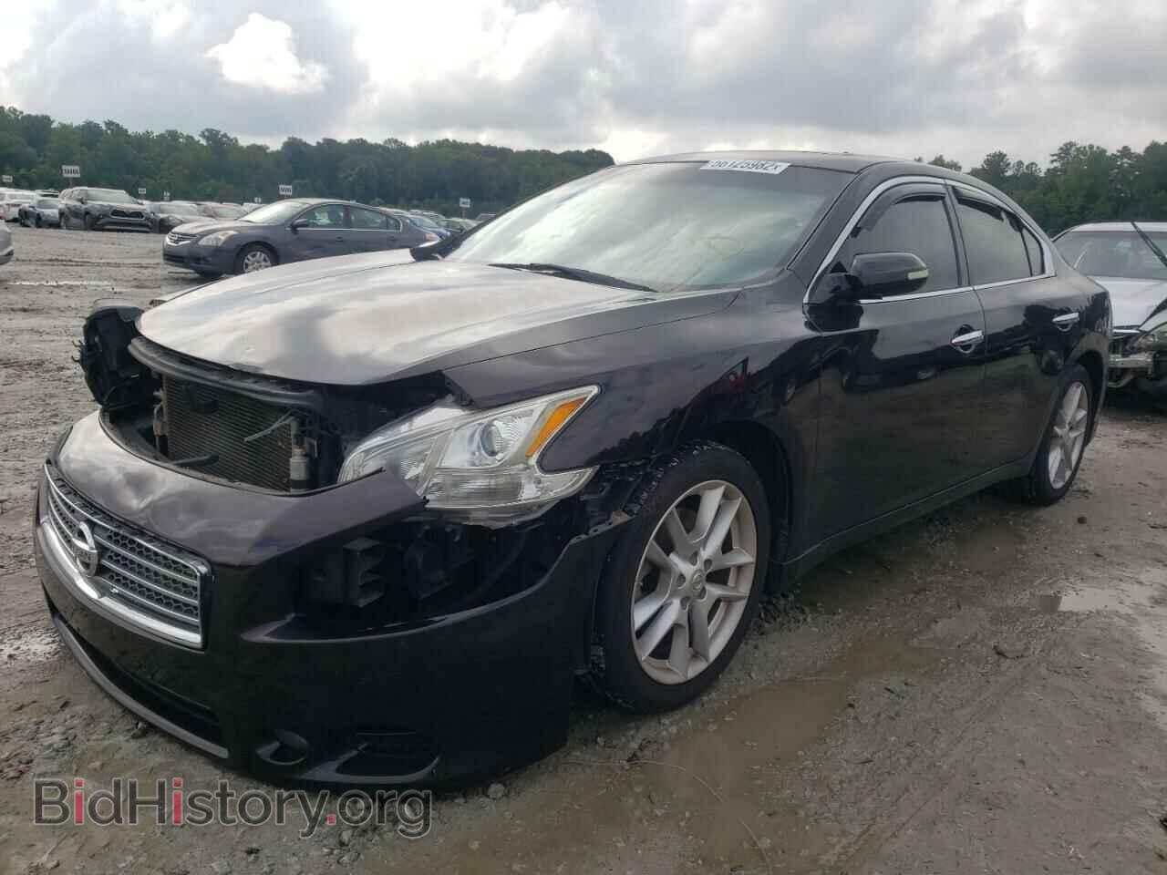 2011 NISSAN MAXIMA - VIN: 1N4AA5APXBC841177 - Фото 2