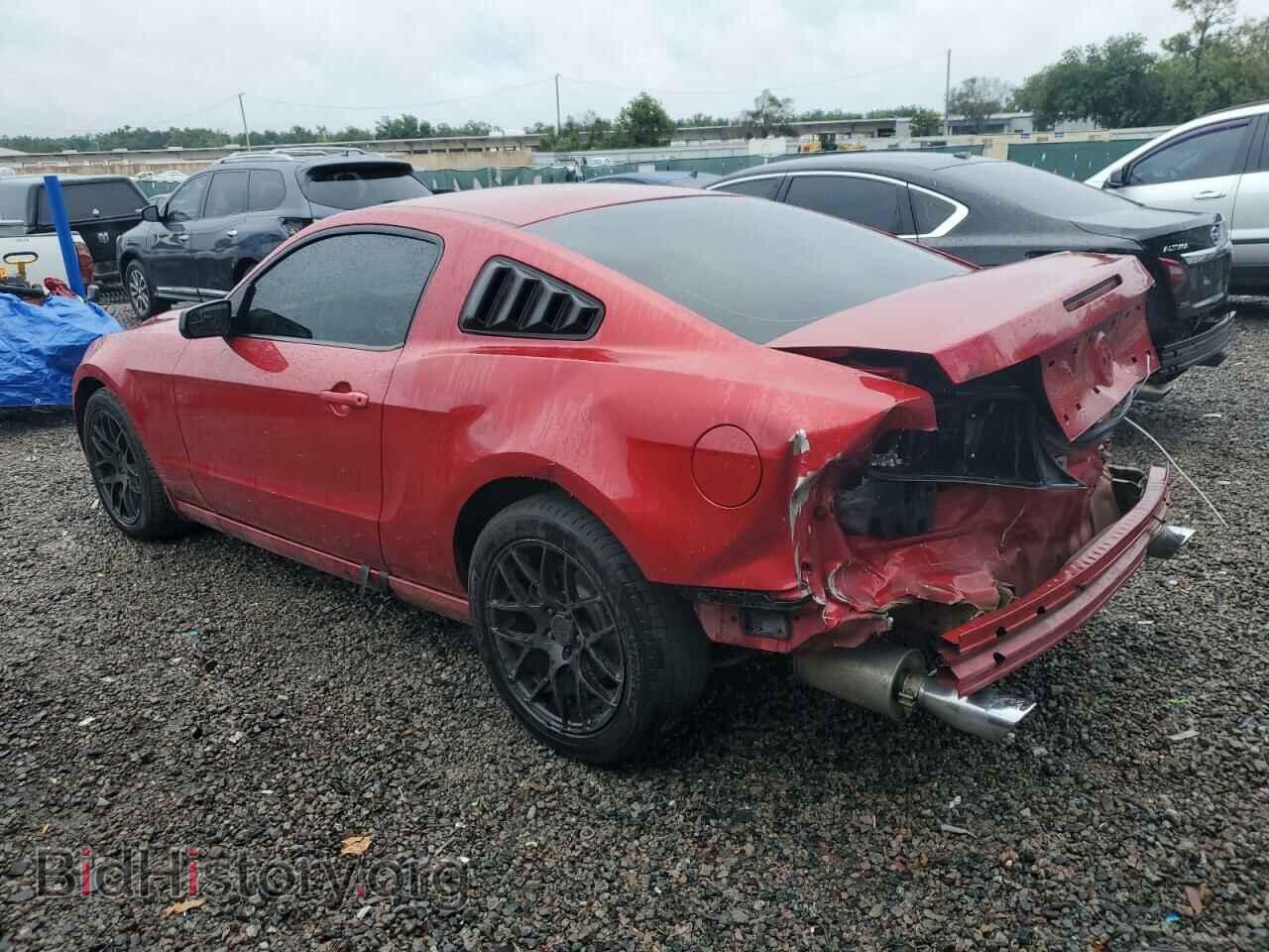 2013 FORD ALL Models - VIN: 1ZVBP8AM4D5256071 - Фото 2