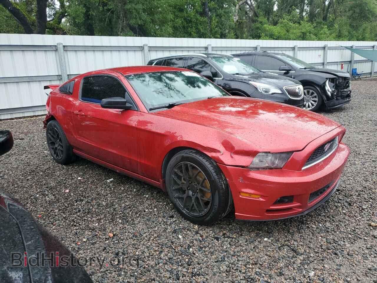2013 FORD ALL Models - VIN: 1ZVBP8AM4D5256071 - Фото 4