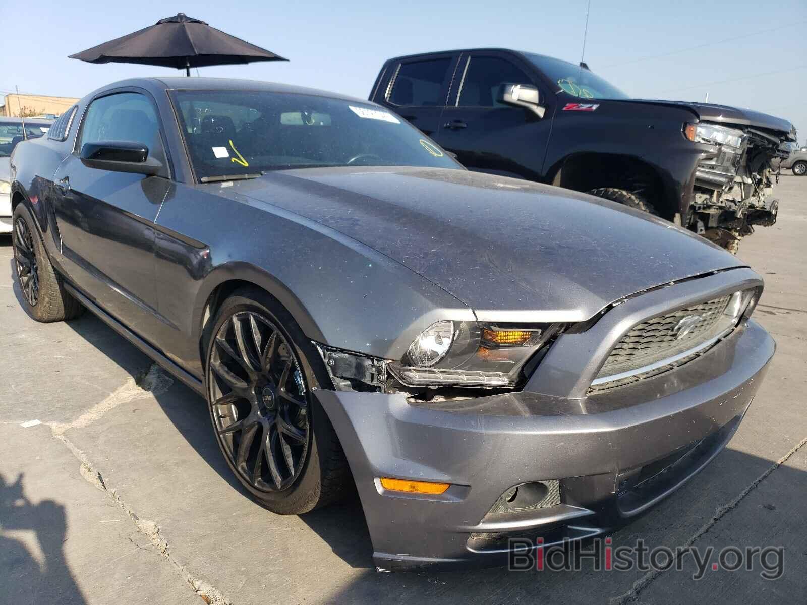 Photo 1ZVBP8AM9E5249795 - FORD MUSTANG 2014