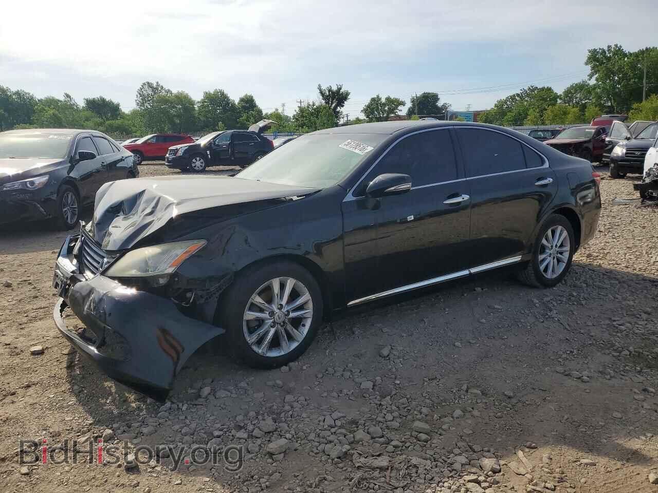 Фотография JTHBK1EG3B2448298 - LEXUS ES350 2011