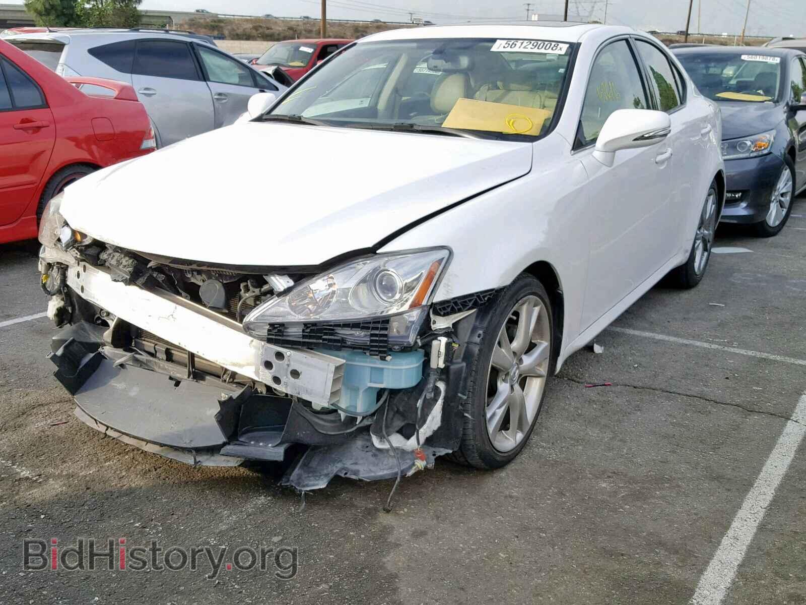 2009 LEXUS IS 250 - VIN: JTHBK262392089294 - Фото 2