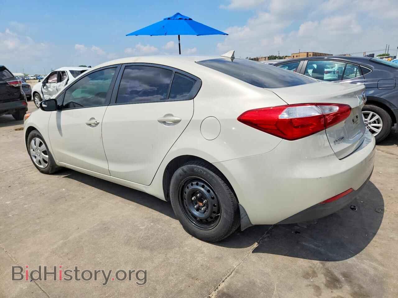 2014 KIA FORTE - VIN: KNAFK4A65E5147968 - Photo 2