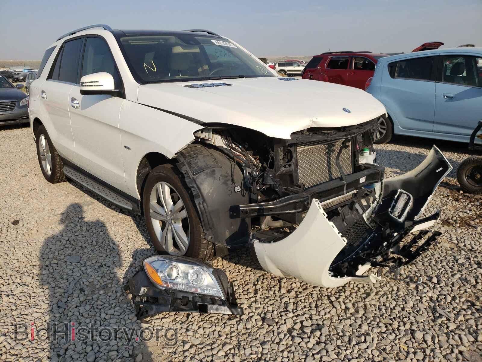 Photo 4JGDA5HB3CA093012 - MERCEDES-BENZ M-CLASS 2012