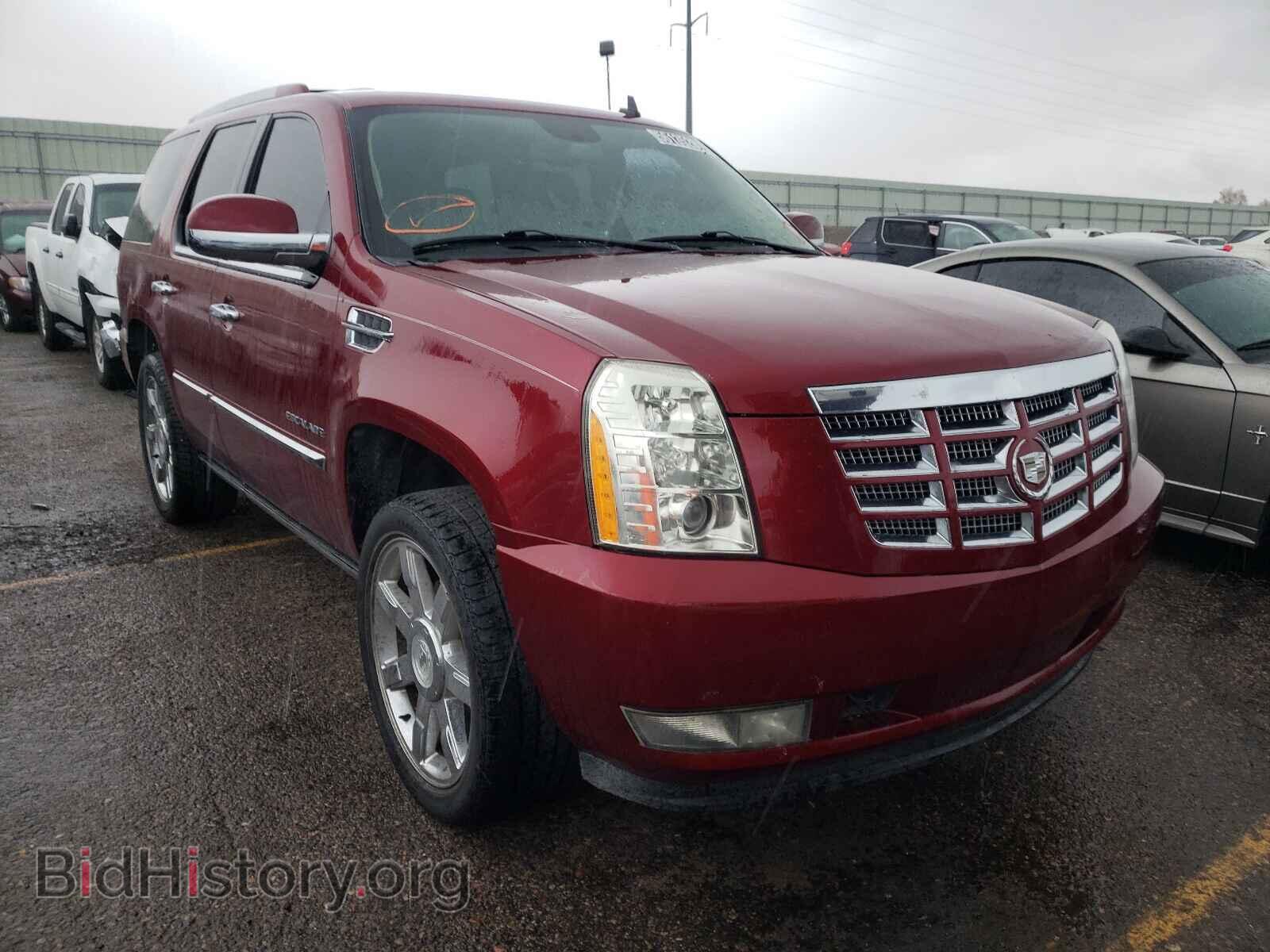 Фотография 1GYUKCEF8AR103443 - CADILLAC ESCALADE 2010
